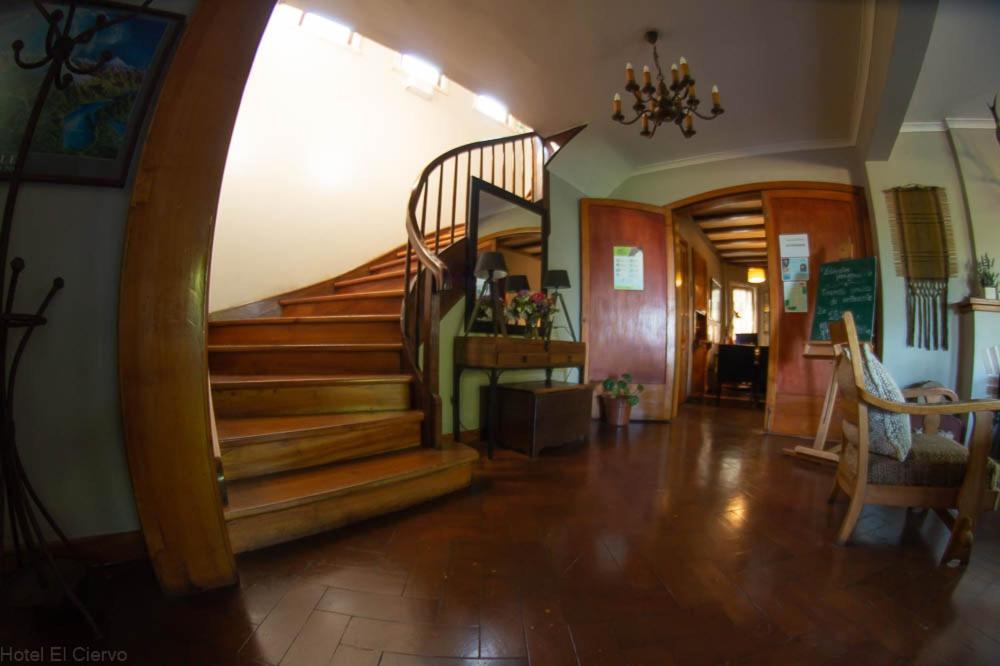 Hotel El Ciervo Villarrica Zewnętrze zdjęcie