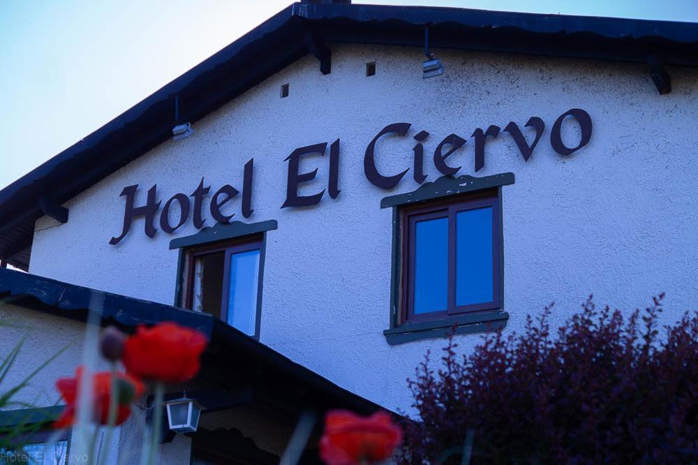 Hotel El Ciervo Villarrica Zewnętrze zdjęcie
