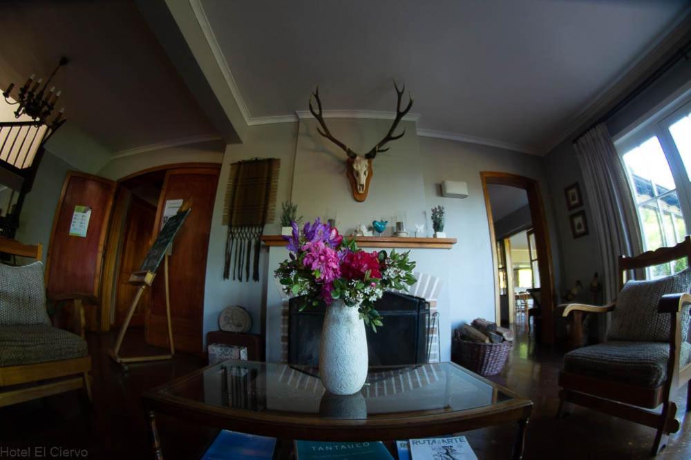 Hotel El Ciervo Villarrica Zewnętrze zdjęcie